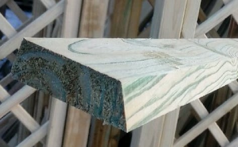 Zaunriegel aus kesseldruckimprägniertem Holz, glatt gehobelt, Maße 22 x 70 x 1800 mm, abgeschrägte Kante, Nahaufnahme der Stirnseite, im Hintergrund weitere Holzlatten vor einem Lattenzaun