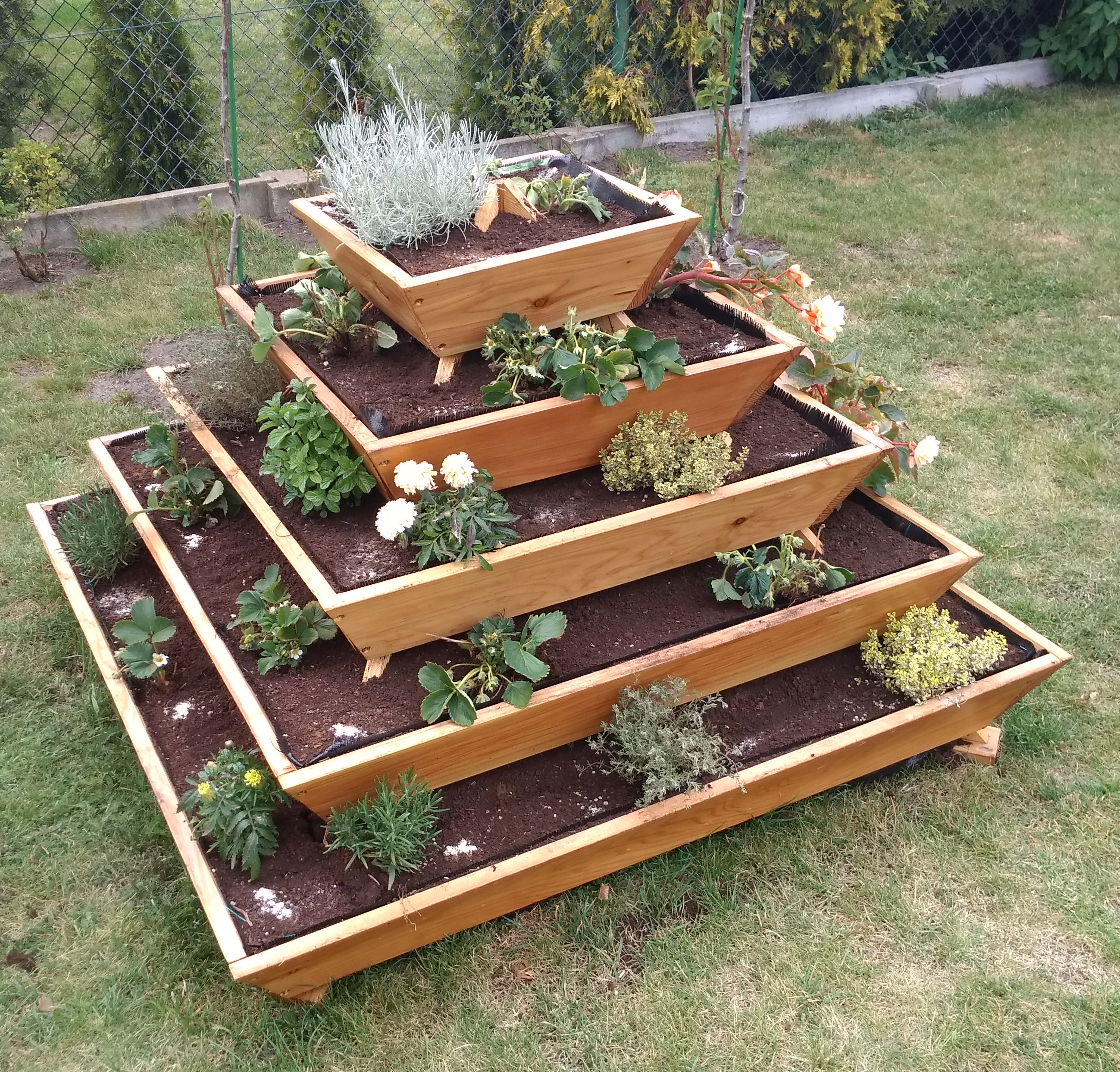 Kräuterpyramide Verbena – Kundenfoto