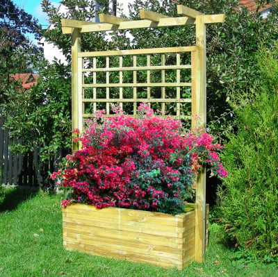Pflanzkasten mit Rankgitter und Pergola – 120 x 50 x 210 cm