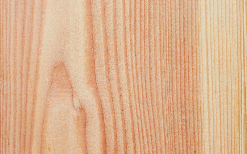 Lärchenholz Farbe