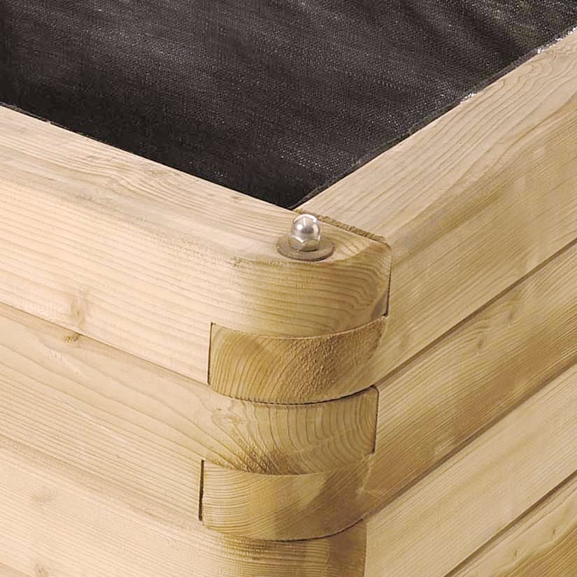 Pflanzkasten Aster - Detailansicht
