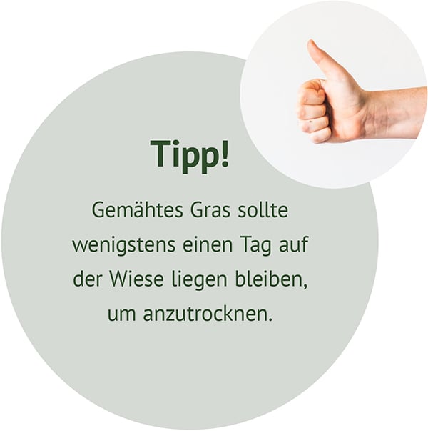 Rundes hellgrünes Feld mit der Überschrift Tipp! und dem Text Gemähtes Gras sollte wenigstens einen Tag auf der Wiese liegen bleiben, um anzutrocknen; oben rechts ein Foto einer Hand, die Daumen hoch zeigt.