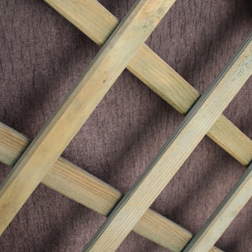 Diagonalrankgitter Nahaufnahme Diagonalrankgitter Nahaufnahme