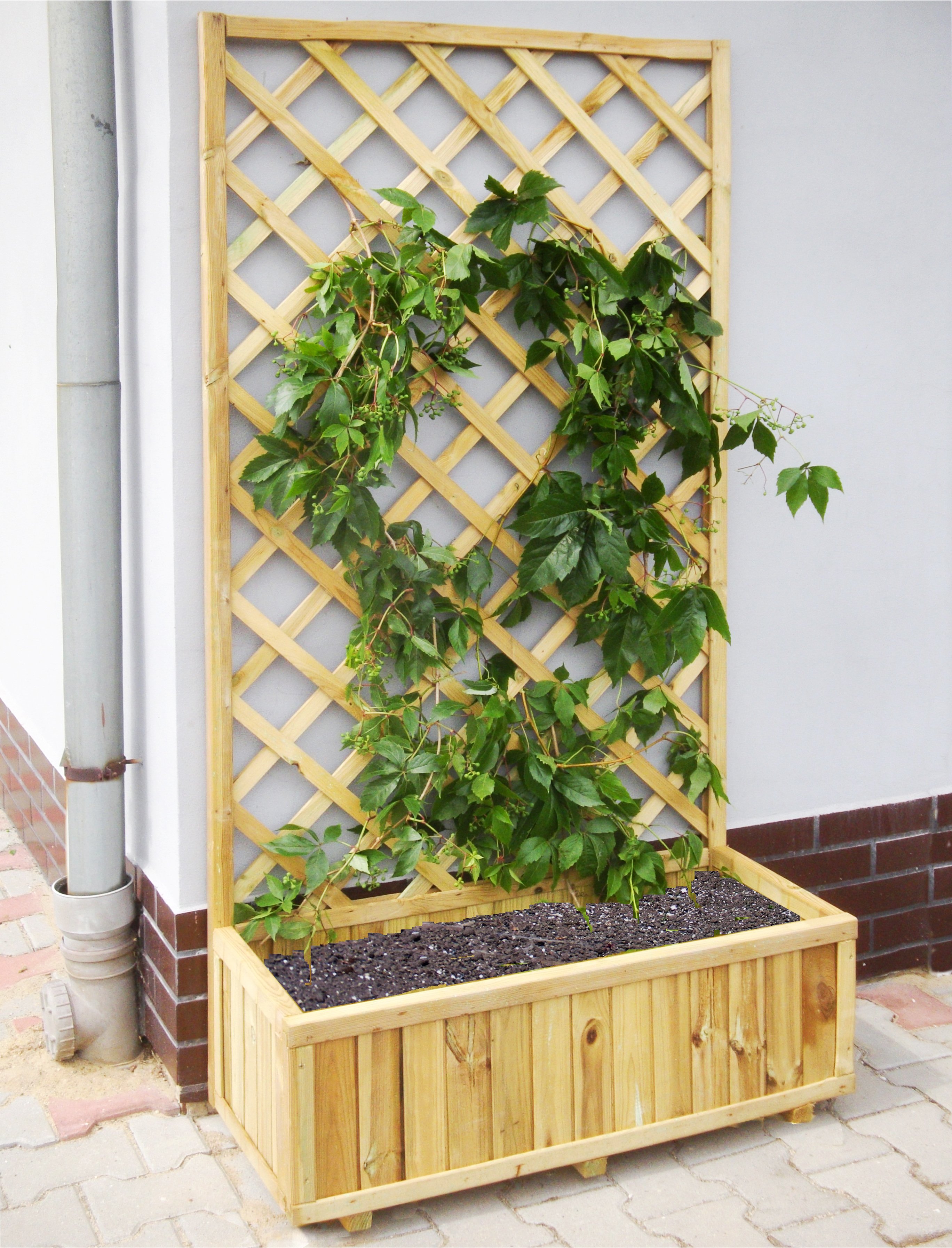 Pflanzkasten Valerian – bepflanzt Pflanzkasten Valerian – bepflanzt
