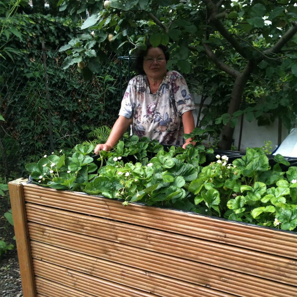 hochbeet_rosemarie-1 Person steht hinter einem Holzhochbeet voller grüner Erdbeerpflanzen mit weißen Blüten, im Hintergrund Bäume und Maschendrahtzaun, trägt florales Oberteil und Brille