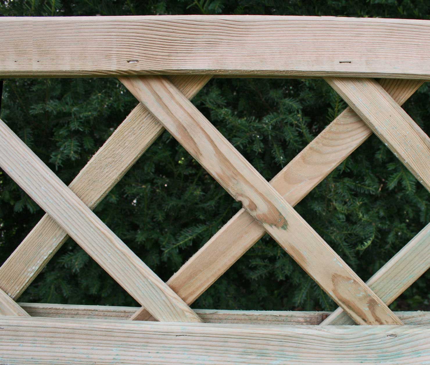 Rankgitter, Detailansicht Rankgitter, Detailansicht