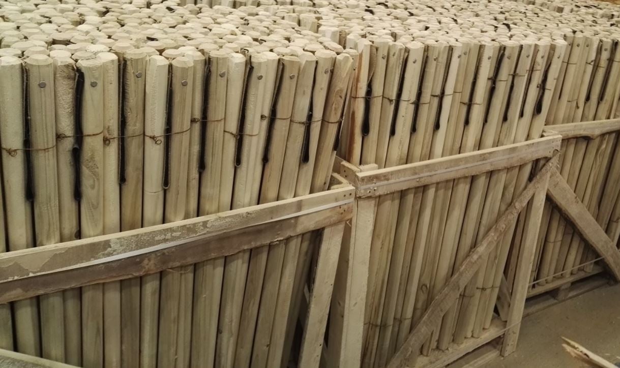 Baumstützen auf Palette Baumstützen auf Palette