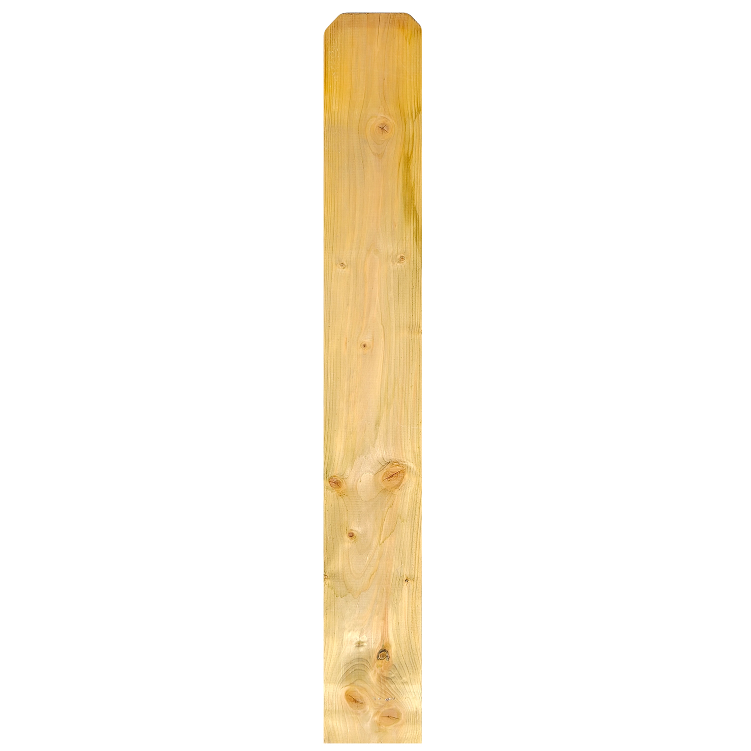 Zaunbrett Dog Ear 