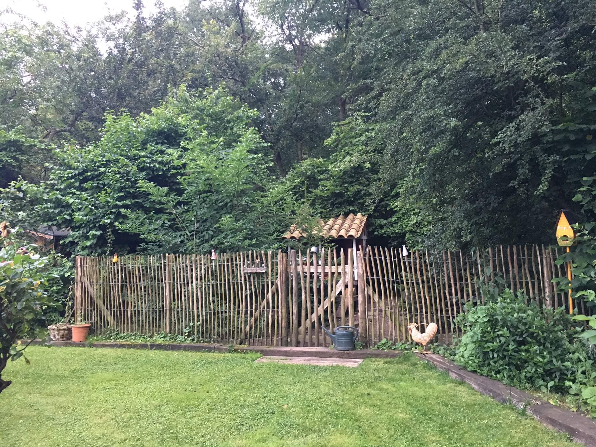 Haselnusszaun Ambiente Haselnusszaun Ambiente