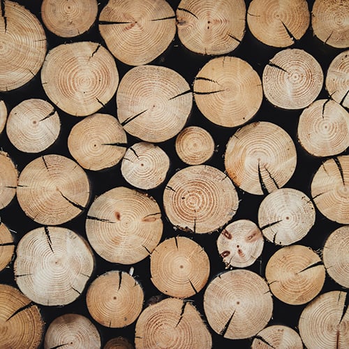HuG-Ratgeber-Holzlexikon-Kachel-01 Mehrere gesägte Holzquerschnitte unterschiedlicher Größe mit Jahresringen und Rissen dicht nebeneinander auf dunklem Hintergrund