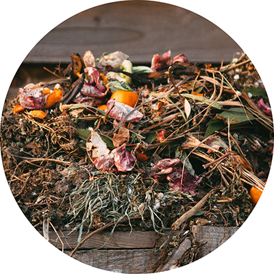 Komposthaufen in einer Holzkiste mit verrottenden Obst- und Gemüseresten, Orangenschalen, verwelkten Blüten, trockenen Blättern, Stängeln und sonstigen Küchenabfällen