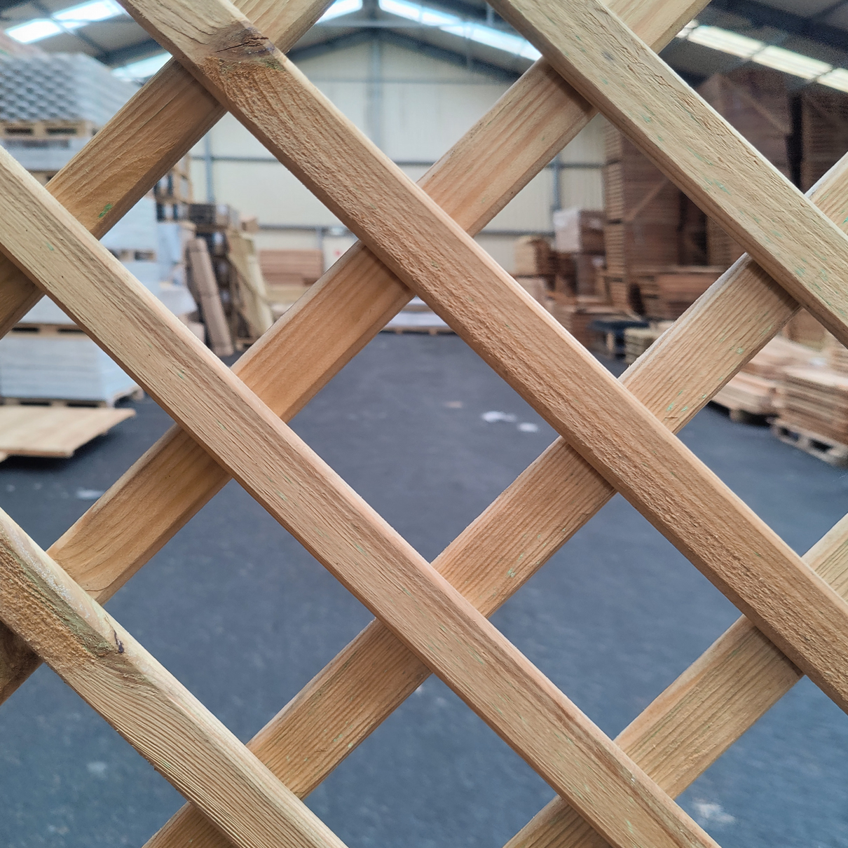 Rankgitter diagonal mit Bogen – Nahansicht