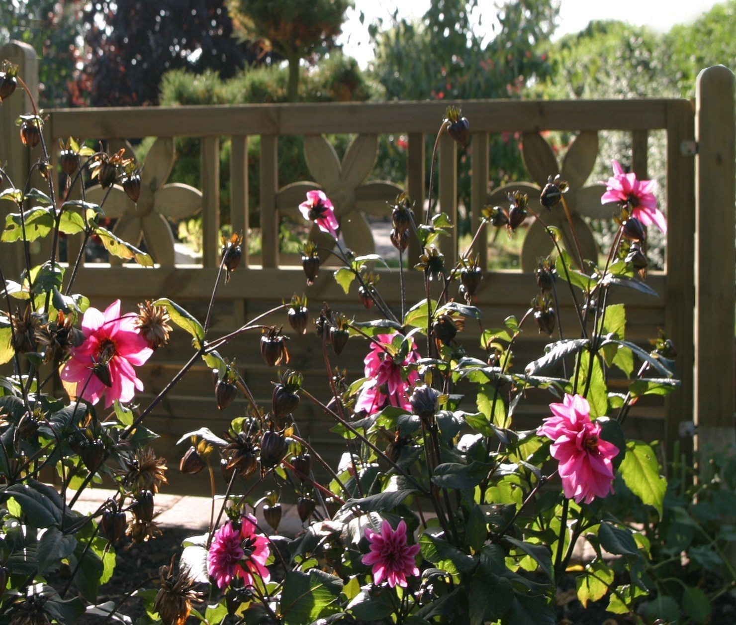 Florenz Vorgartenzaun Florenz Vorgartenzaun