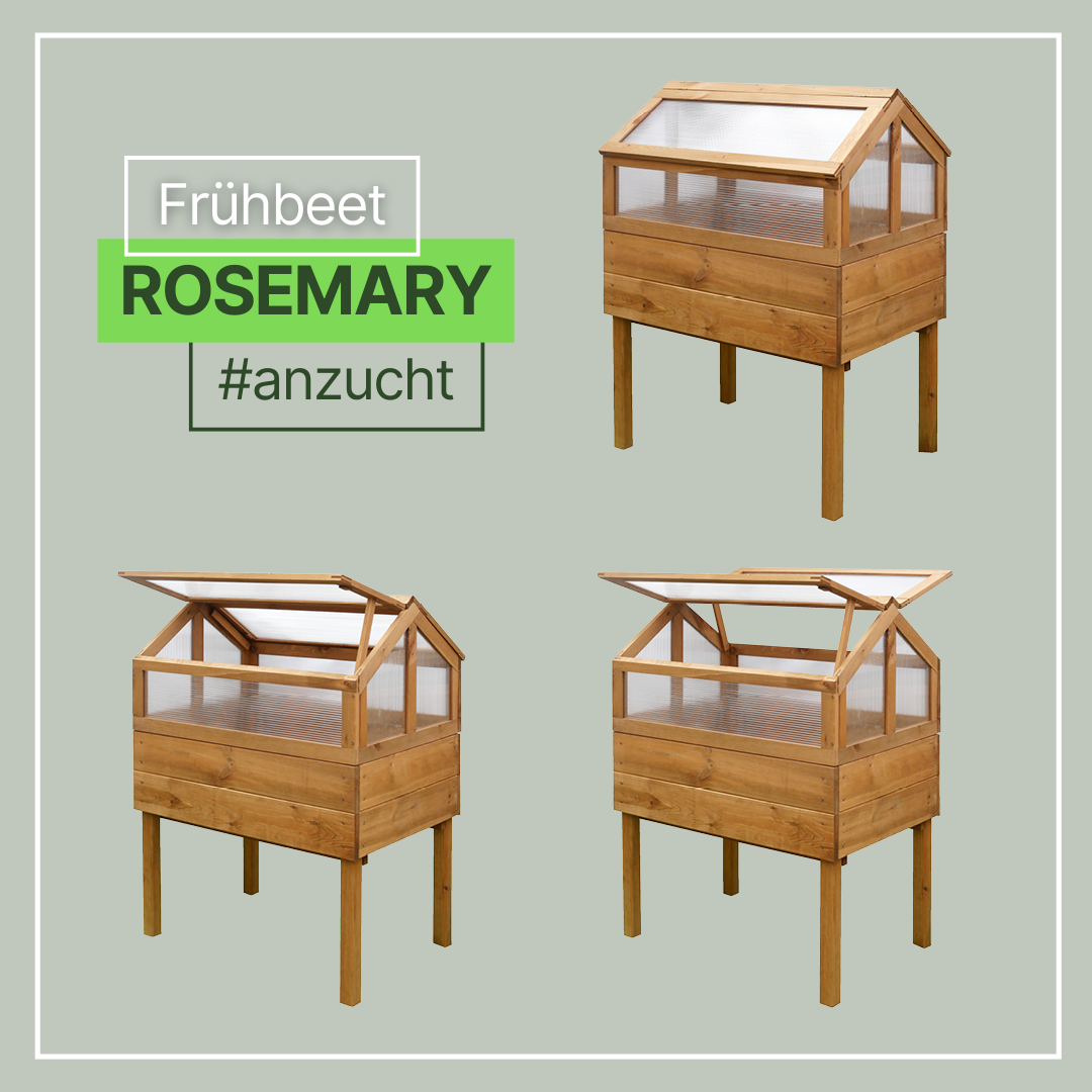 Vier hölzerne Hochbeete/Frühbeete mit transparenten Hauben auf Stelzen, aus mehreren Blickwinkeln abgebildet, teils geöffnete Hauben; hellgrüner Hintergrund mit Schriftzug Frühbeet ROSEMARY #anzucht