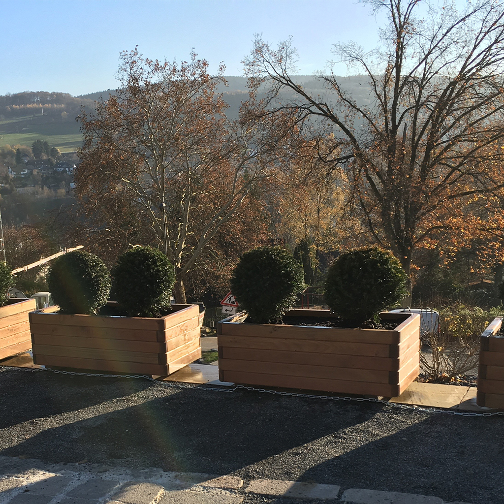 Drei hölzerne Pflanzkästen mit kugelrunden Buchsbäumen auf einer Terrasse, im Hintergrund herbstliche Laubbäume und sanfte Hügel im sonnigen Gegenlicht, lange Schatten und leichter Linseneffekt auf dem Boden