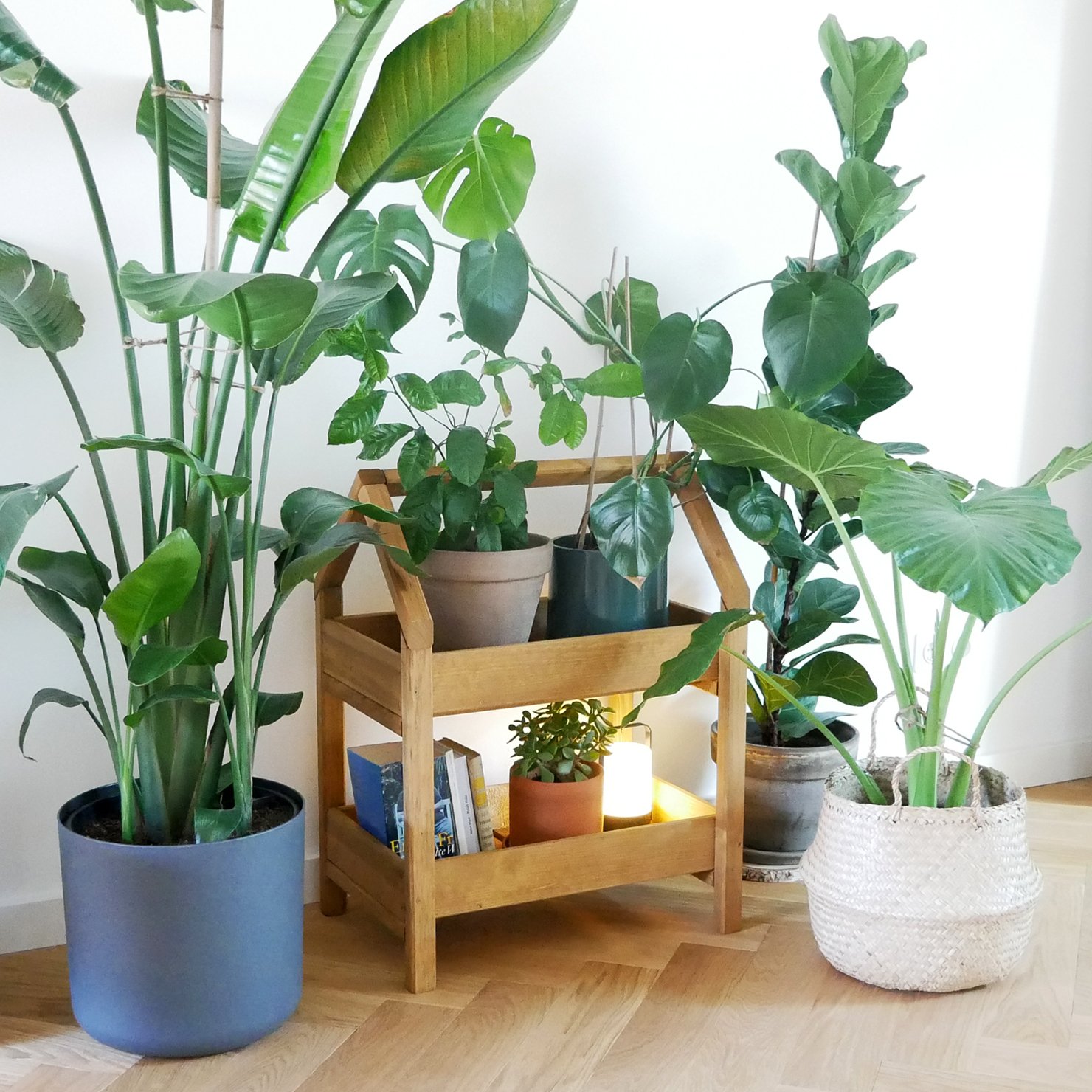 Gartenregal Ares – auch für die Verwendung im Haus geeignet