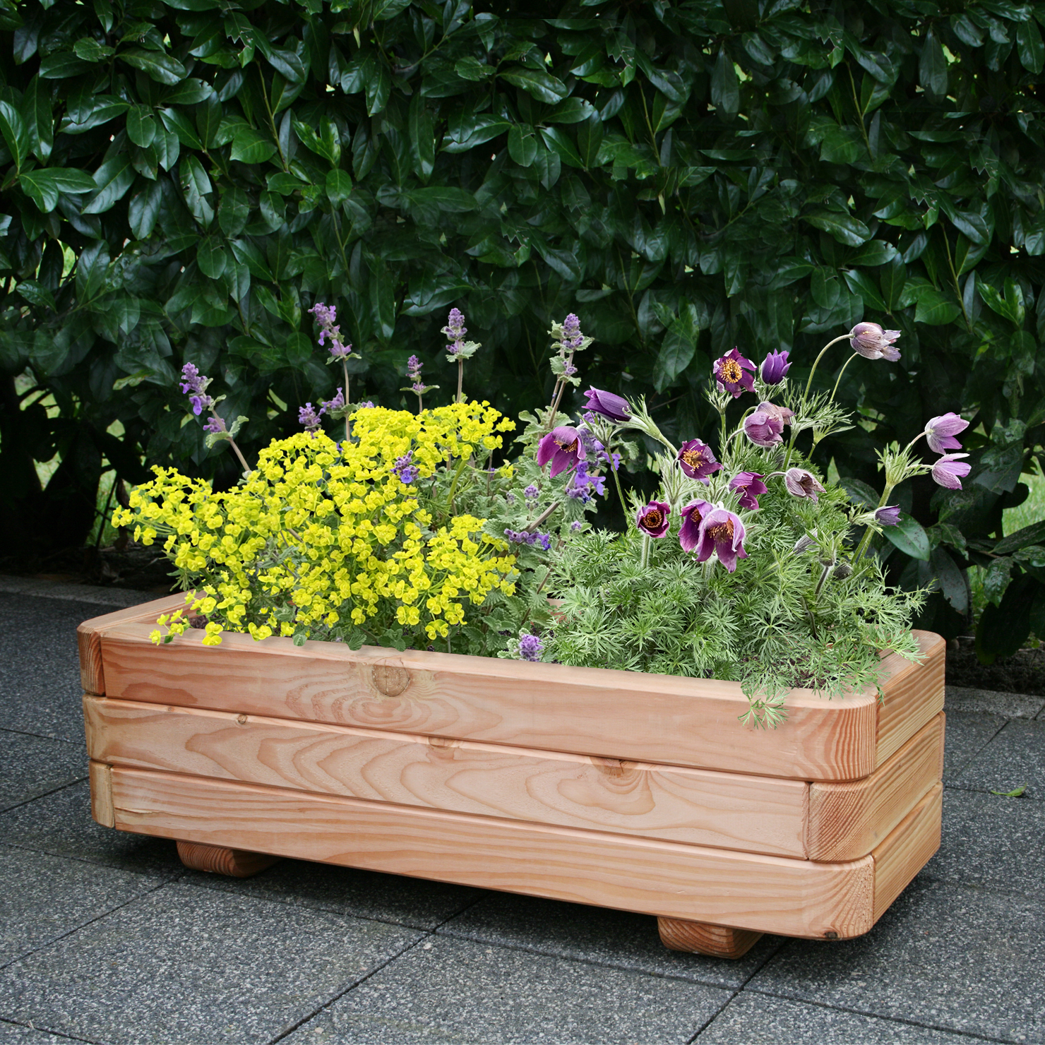 Holzflanzkübel auf einer Terrasse mit gelb blühenden und violetten Blumen, im Hintergrund eine grüne Hecke.