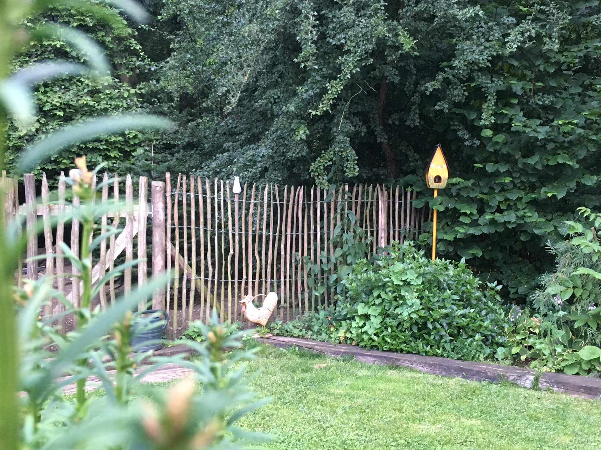 Haselnusszaun im Kräutergarten Haselnusszaun im Kräutergarten