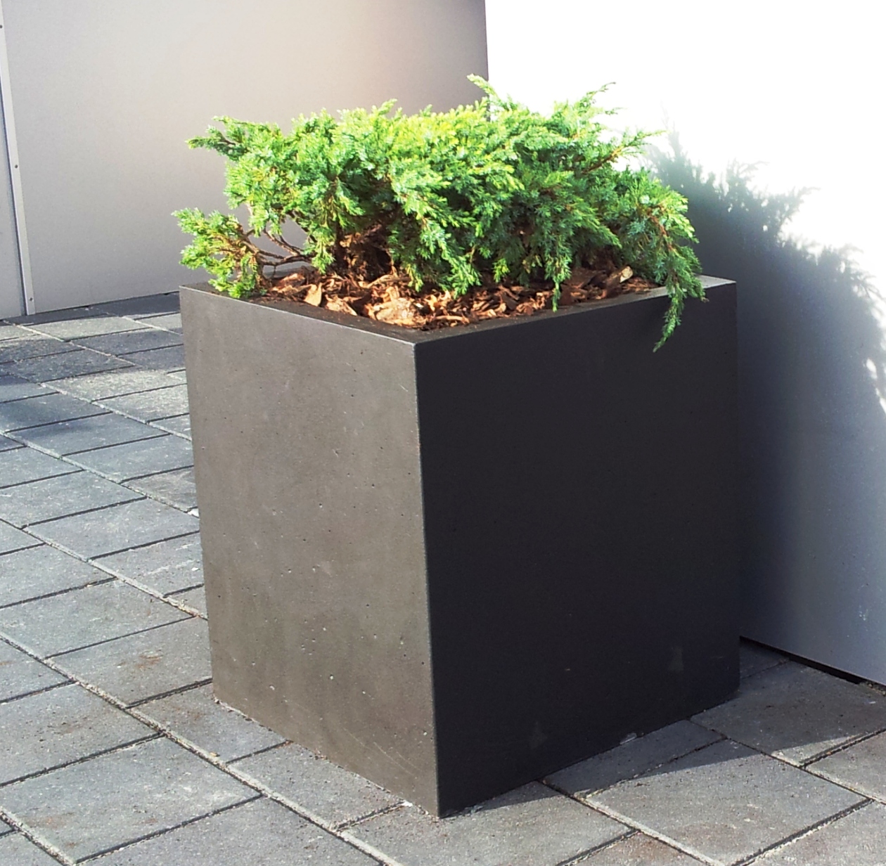 Pflanzkasten Rosel schwarz