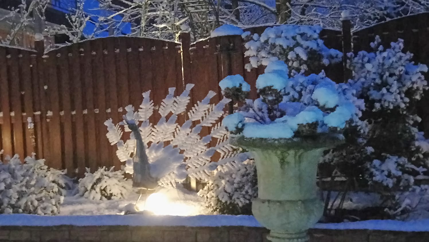 Dämmerungsaufnahme eines schneebedeckten Gartens mit beleuchteter Pfauenskulptur und schneebedecktem Rad links sowie einem großen steinernen Pflanzkübel mit Schnee rechts vor Holzzaun