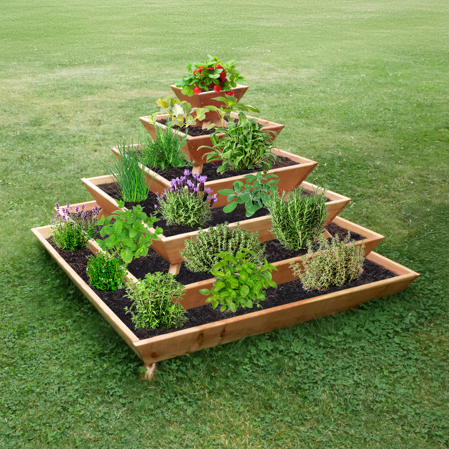 Kräuterpyramide Verbena aus Lärchenholz – bepflanzt