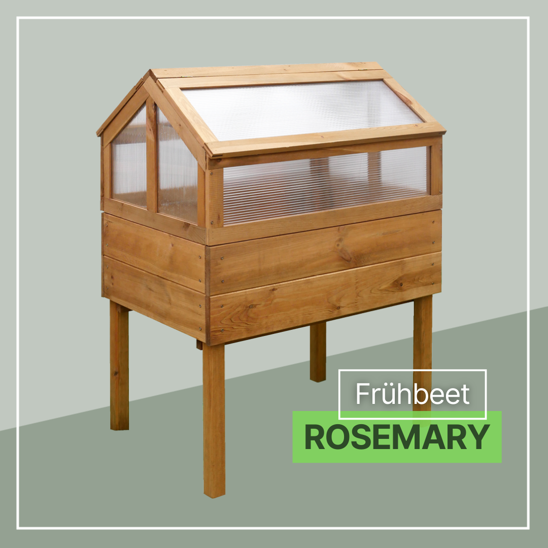 Holz-Frühbeet auf vier Beinen mit geneigtem Dach und transparent gerippten Kunststoffseiten, naturfarbenes Holz, Produktfoto vor hellgrünem Hintergrund mit Schriftzug Frühbeet ROSEMARY