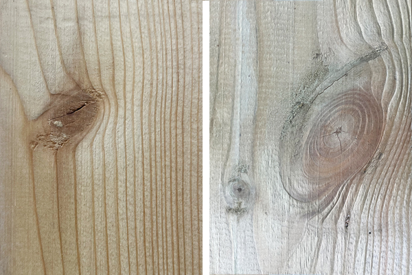 Zwei nebeneinander angeordnete Holzbohlen mit sichtbarer Jahresringstruktur und Astknoten; links heller mit feiner senkrechter Maserung und kleinem Ast, rechts grober mit großem ockerfarbenem Knoten und ausgeprägten Ringen.