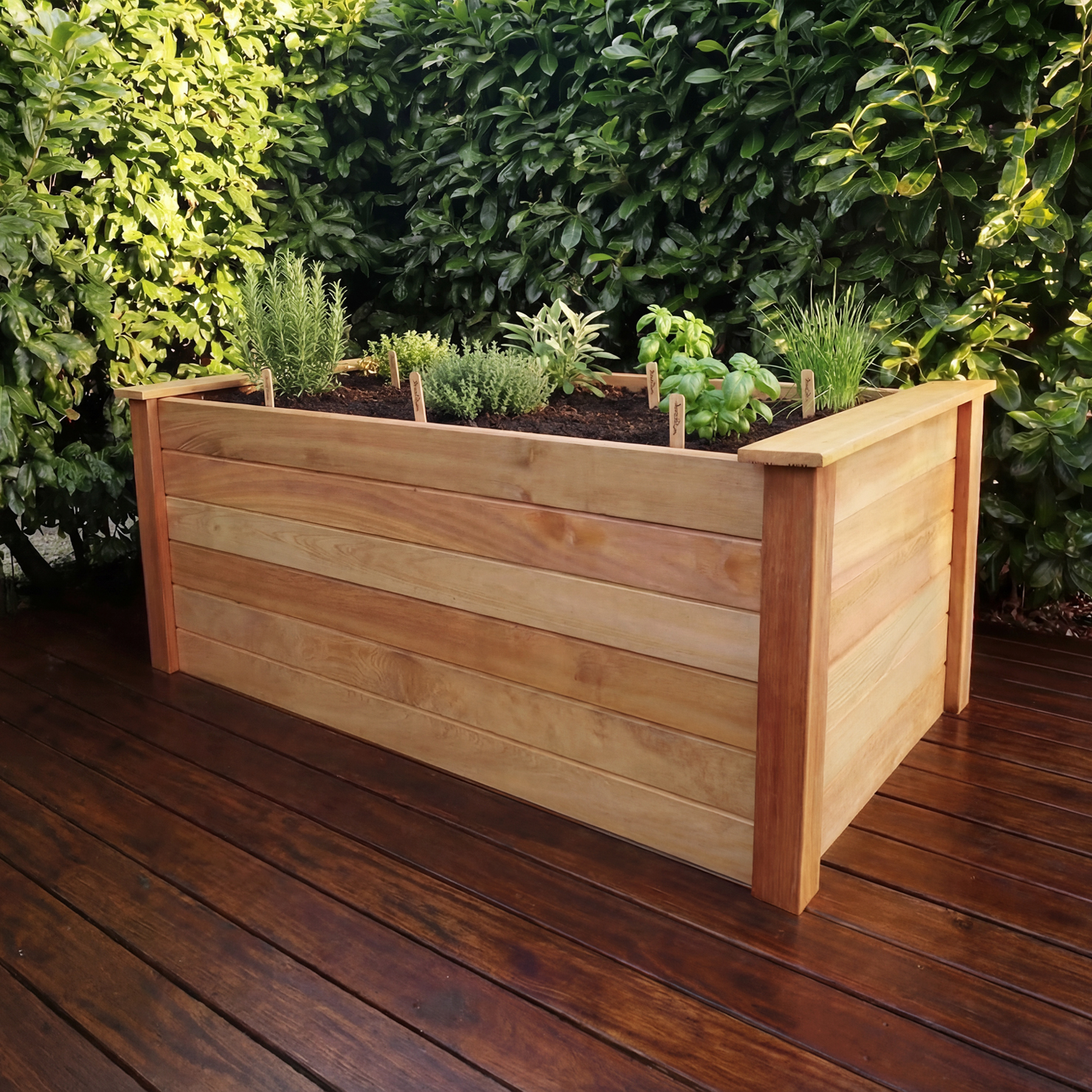 Hochbeet JULIA aus hellen Holzlatten (kurze Seite sichtbar) auf Holzterrasse, gefüllt mit Erde und Kräutern (Rosmarin, Thymian, Salbei, Basilikum, Schnittlauch), im Hintergrund dichte grüne Hecke