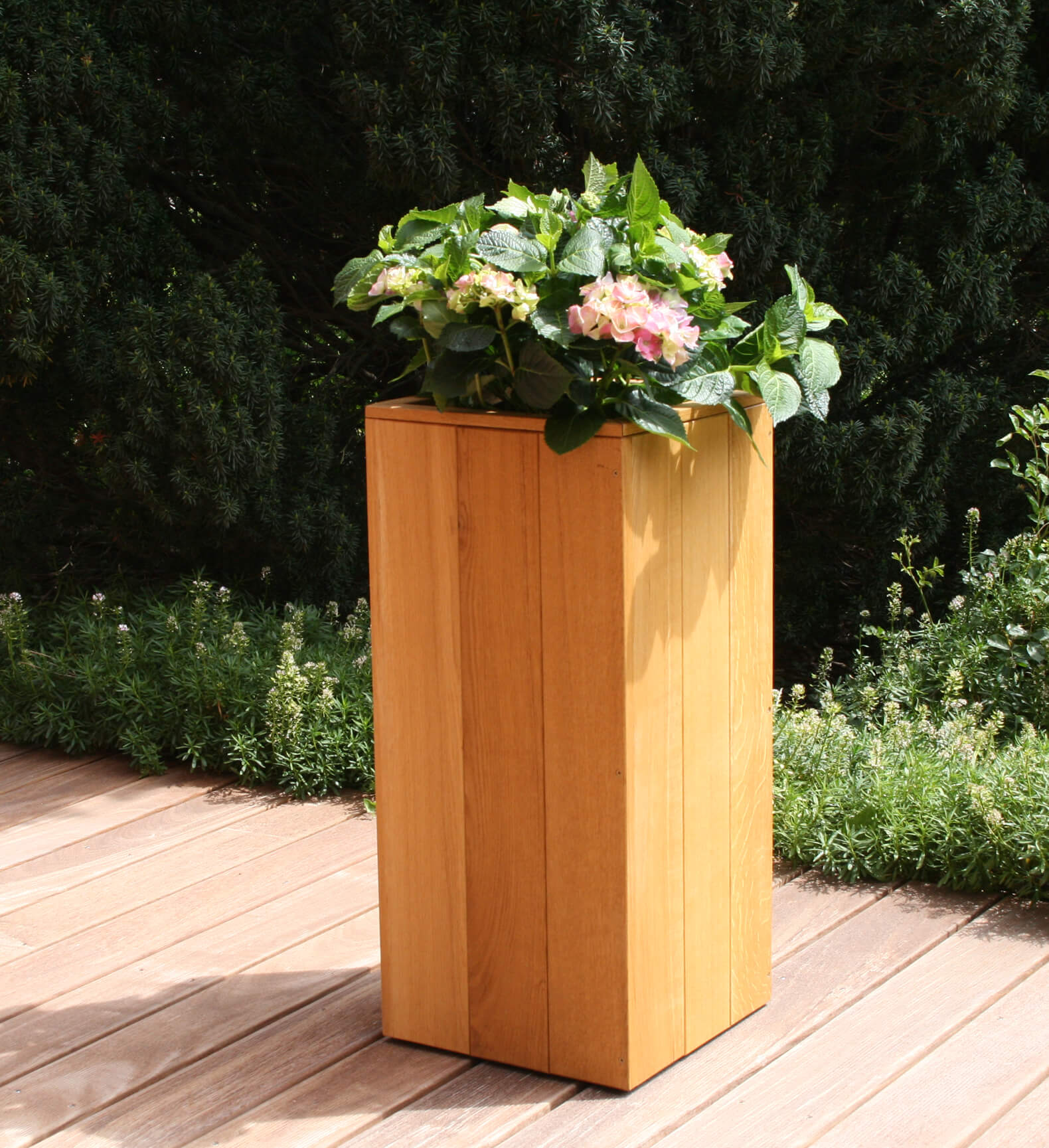 Alba_Eiche_Terrasse.jpg