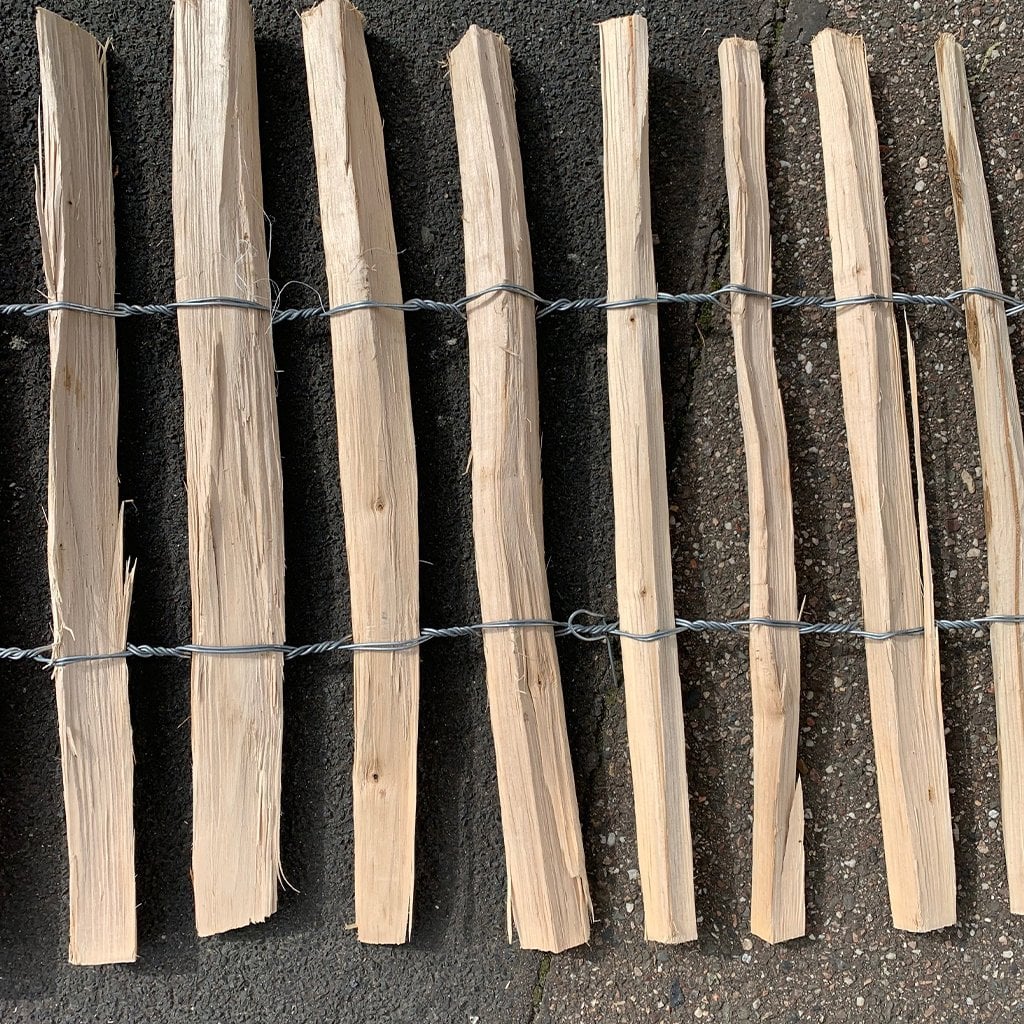 Rückseite der von Hand gespaltenen Haselnuss Rückseite der von Hand gespaltenen Haselnuss