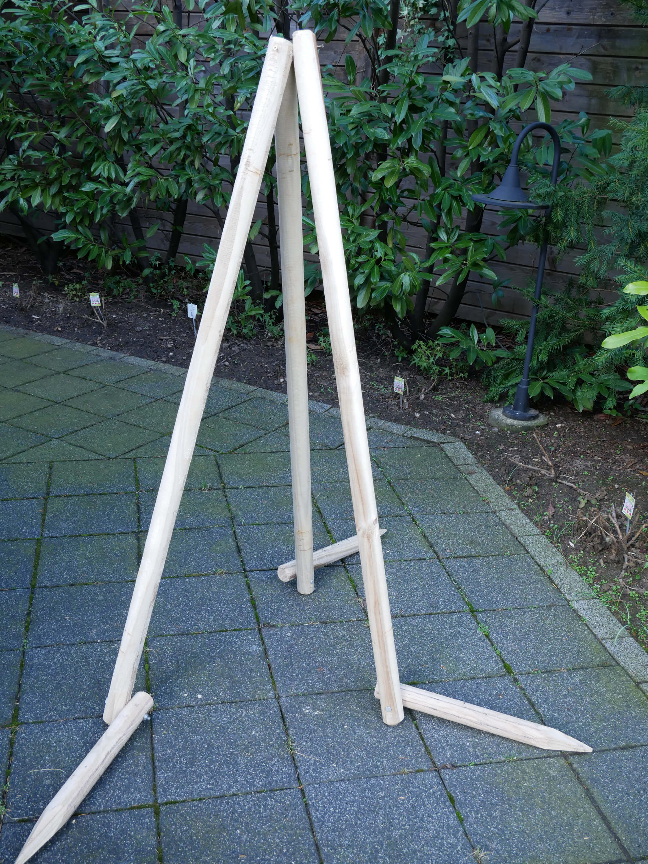 Baumsütze - Nahansicht
