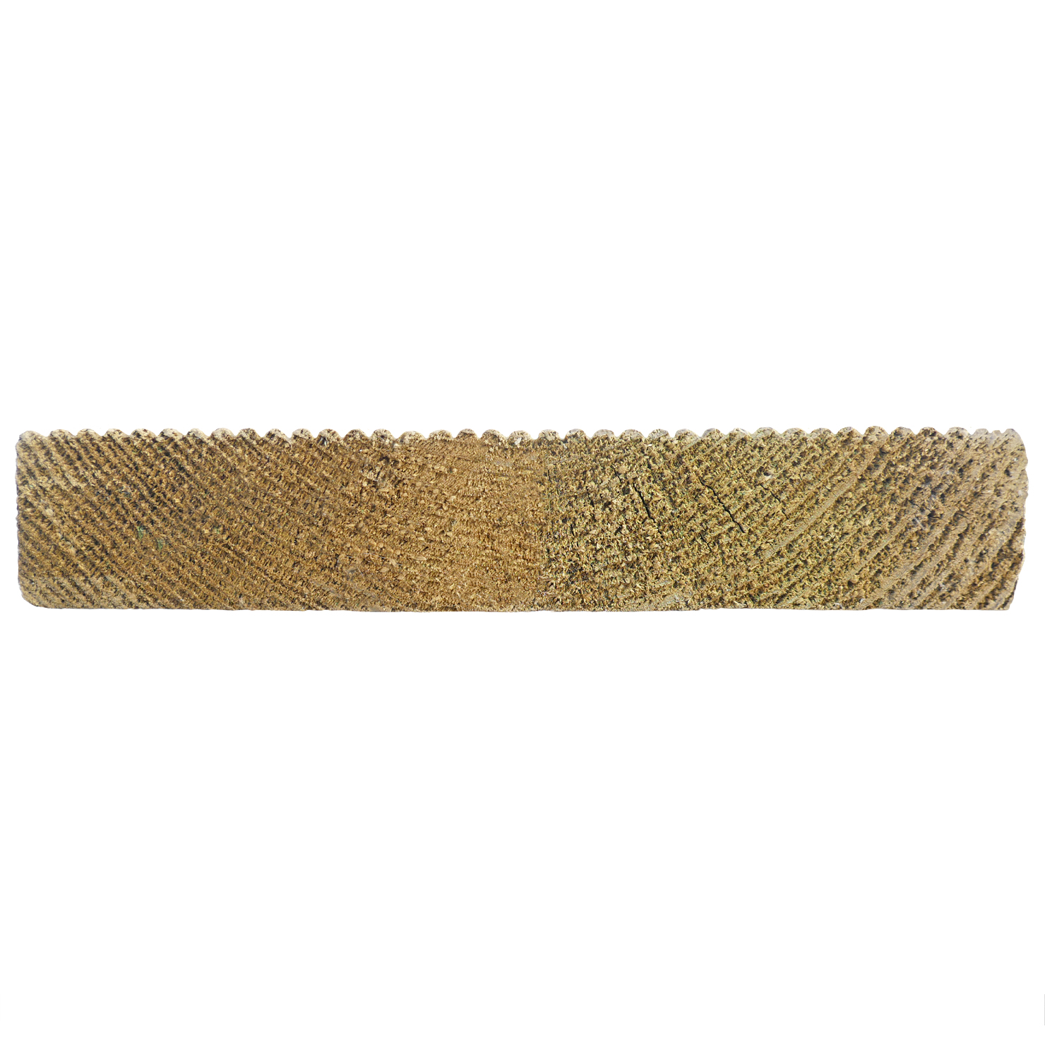 Kiefer, 28 x 115 mm, Stirnseite Kiefer, 28 x 115 mm, Stirnseite